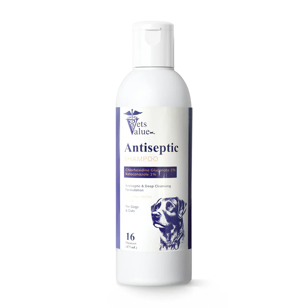 Antiseptic & Antifungal Medicated Topical Shampoo for Dogs, Cats, Horses - 12 oz