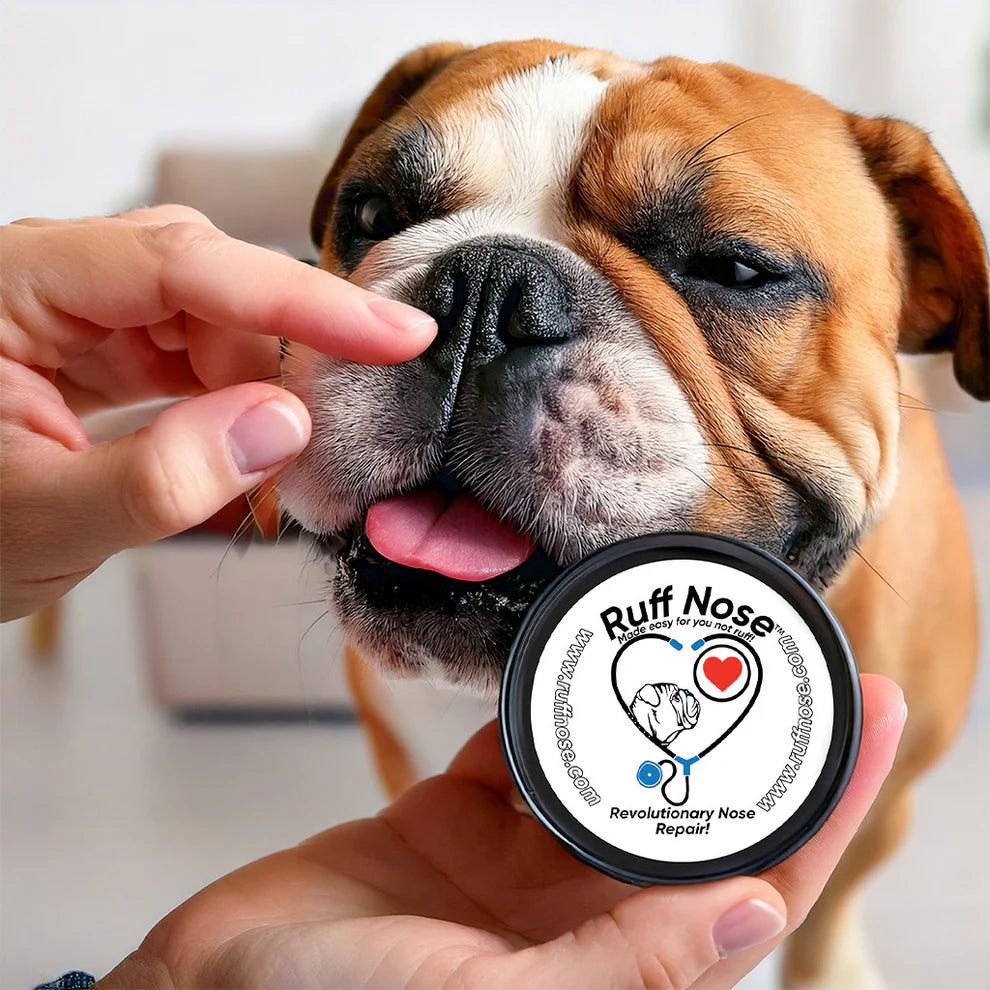 4 oz. Revolutionary (Pet Nose) Repair Balm