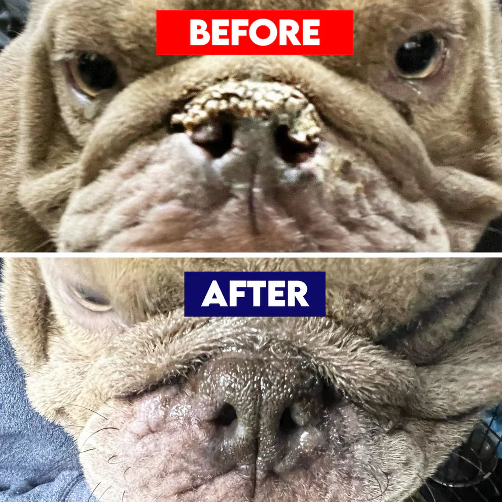 4 oz. Revolutionary (Pet Nose) Repair Balm