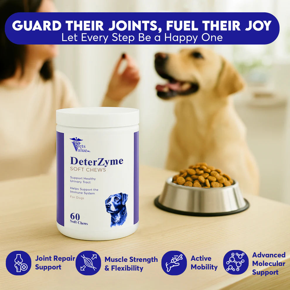 DeterZyme Stool Eating Deterrent for Dogs - 60 ct