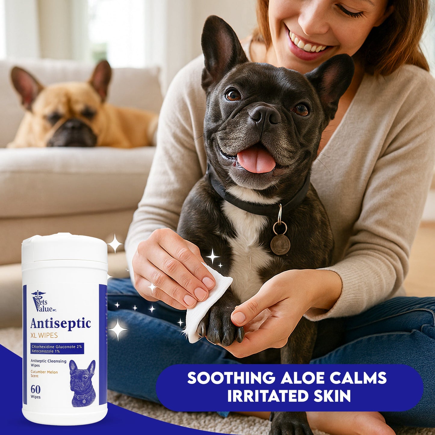 Chlorhexidine Antiseptic Wipes XL with Aloe for Dogs and Cats - 70 Count