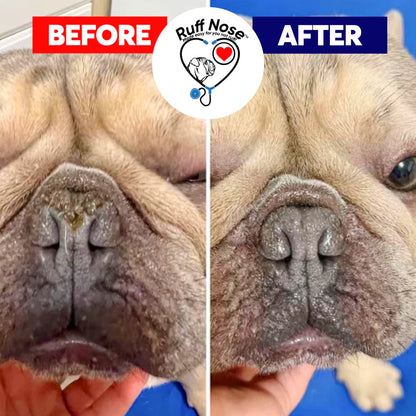 2 oz. Revolutionary (Pet Nose) Repair Balm